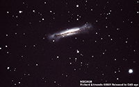 Richard Edmonds NGC3628